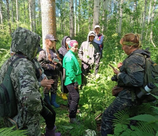 В Алтайском крае национальный парк «Салаир» принимает участников экологической экспедиции