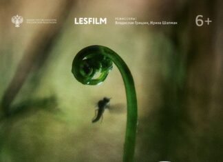 Тигирекский заповедник поддерживает выход документального фильма «Лес. Хранитель жизни»